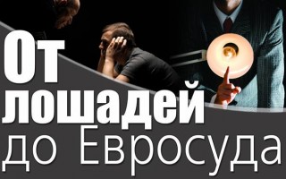 От лошадей до Евросуда