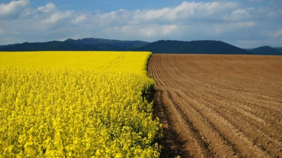 Велика Палата винесла рішення стосовно земельного мораторію