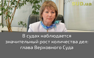 В судах наблюдается значительный рост количества дел: глава Верховного Суда