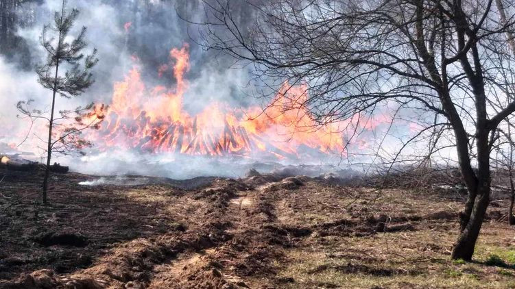 Пожежа у Чорнобильскій зоні: поліція відкрила кримінальне провадження