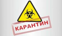 Уряд дозволив працювати хімчисткам та будівельним магазинам: інфографіка