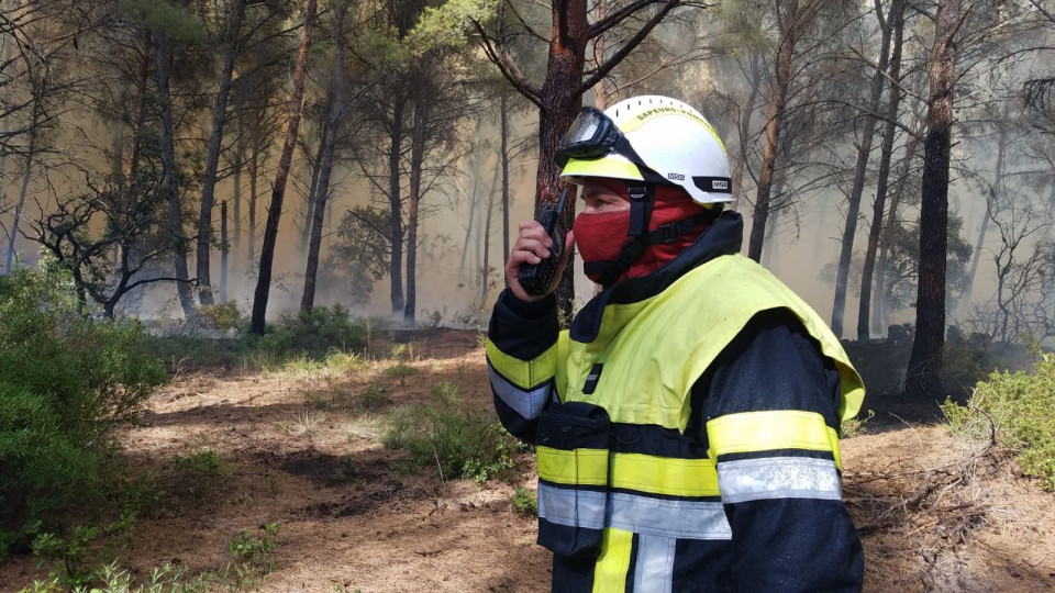 У Франції декілька днів намагаються потушити масштабну лісову пожежу, фото