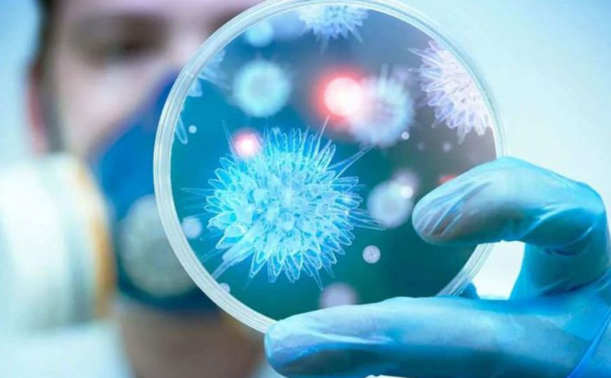 Ученые хотят создать пожизненную вакцину от коронавируса