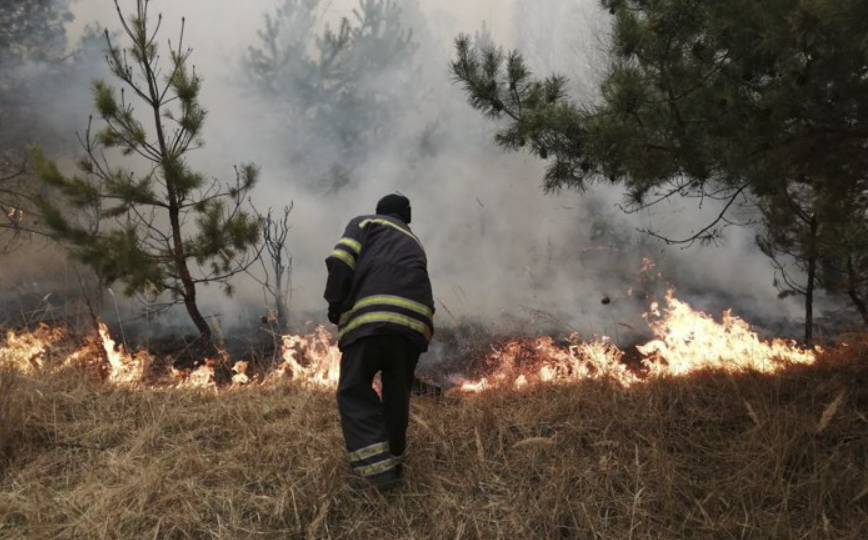 У Чорнобильській зоні горить лісова підстілка 20 га, але радіаційний фон у нормі, — голова Київської ОВА