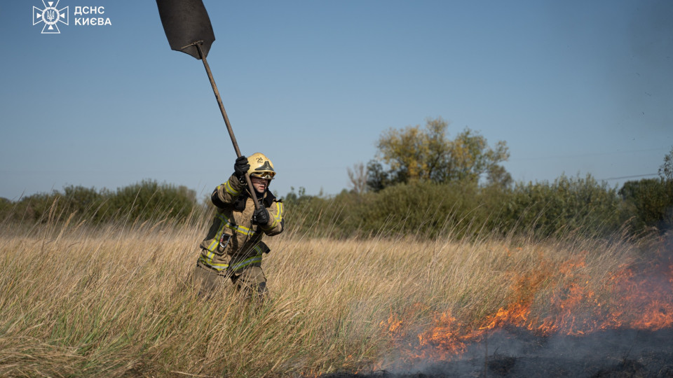 У Києві ДСНС протягом тижня 28 разів виїжджала на ліквідацію пожеж в природних екосистемах