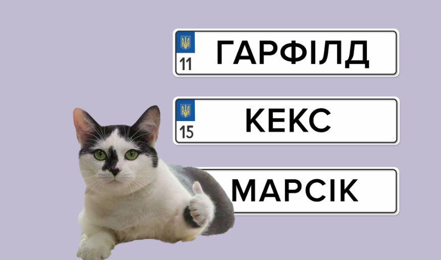 В Україні знову можна замовити індивідуальні номерні знаки — яка вартість