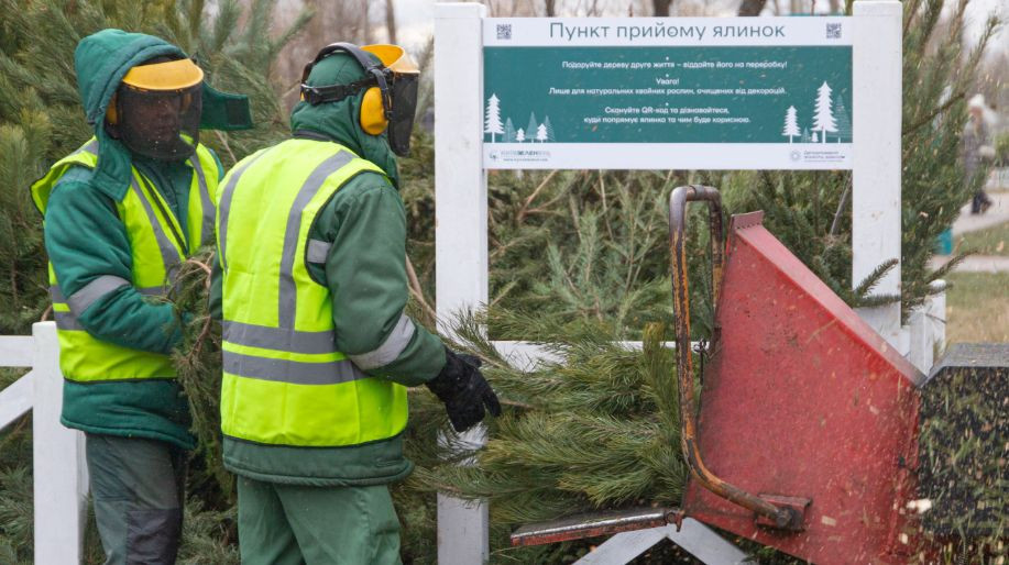 З 2 січня в Києві запрацюють 78 пунктів прийому новорічних дерев — перелік адрес