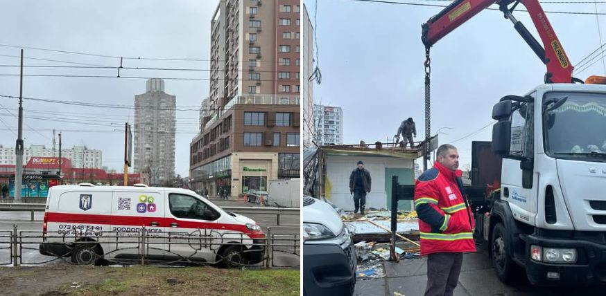 У Києві під час демонтажу МАФу виявили їжачка в сплячці — що зробили з твариною