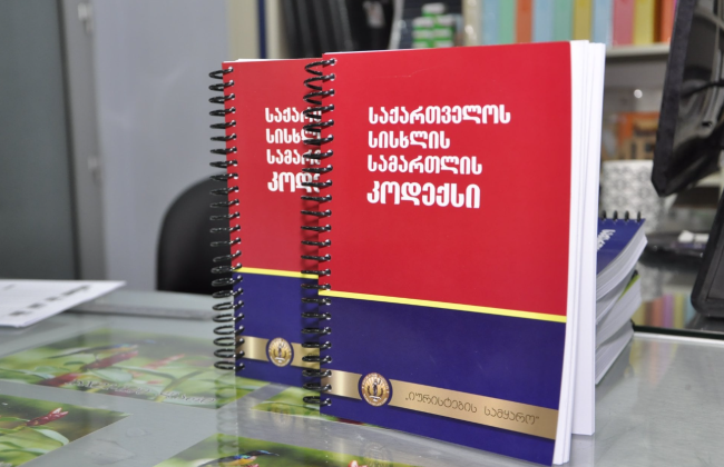 «Непонятно, каким образом суд разобрался в содержании апелляционной жалобы, изложенной на грузинском языке» – Верховный Суд отменил решение апелляционного суда