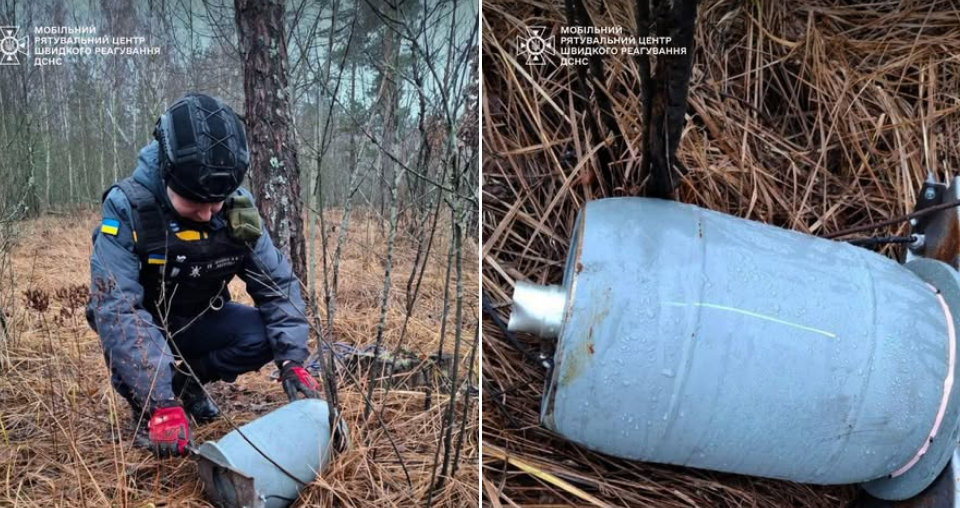 На территории лесничества на Киевщине нашли боевую часть БпЛА «Герань»-2