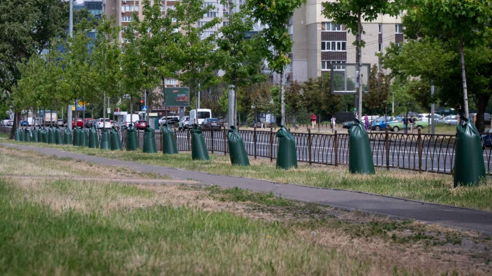 У Києві дерева одягають у торби – у КМДА пояснили ідею