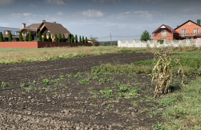 Земельный участок сельскохозяйственного назначения, полученный иностранцем в наследство и не отчужденный им в течение года, подлежит конфискации – Верховный Суд