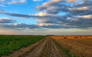 Верховна Рада підтримала спрощення продажу і передачі у користування земельних ділянок колишнім власникам зруйнованих об’єктів