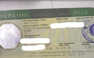 Депутаты поддержали законопроект об отмене проверок для получения виз определенными иностранцами