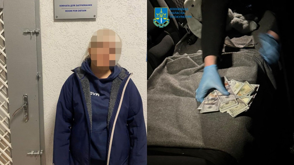 16 тысяч долларов за незаконное пересечение границы с Молдовой — в Виннице разоблачили учительницу лицея