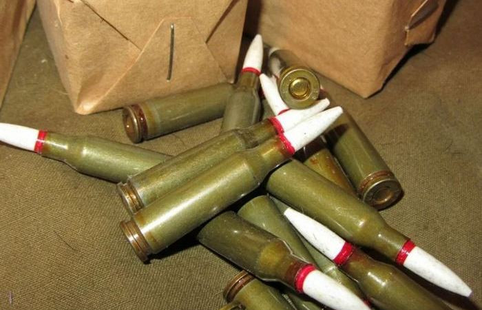 Охотник из Миргорода перевозил боевые патроны без разрешения – что решил суд