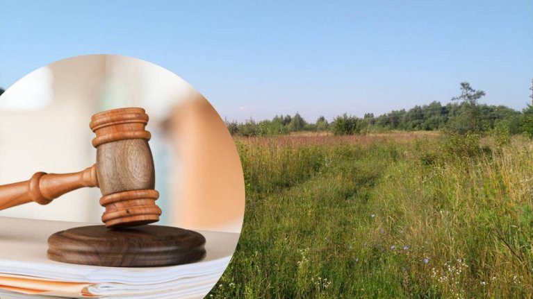 На Вінниччині через суд припинили оренду 26 гектарів промислових земель