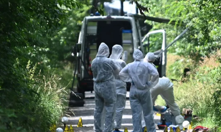 У МЗС зробили заяву щодо вбивства українки та її доньки у Німеччині