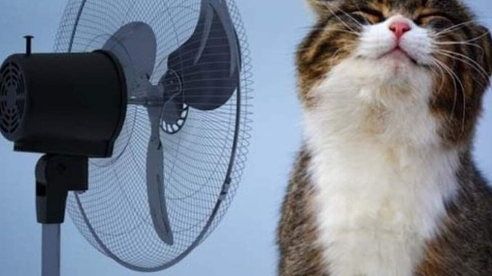 Спека посилюється: 7 липня у Києві прогнозують 34°C, в області – 36°C