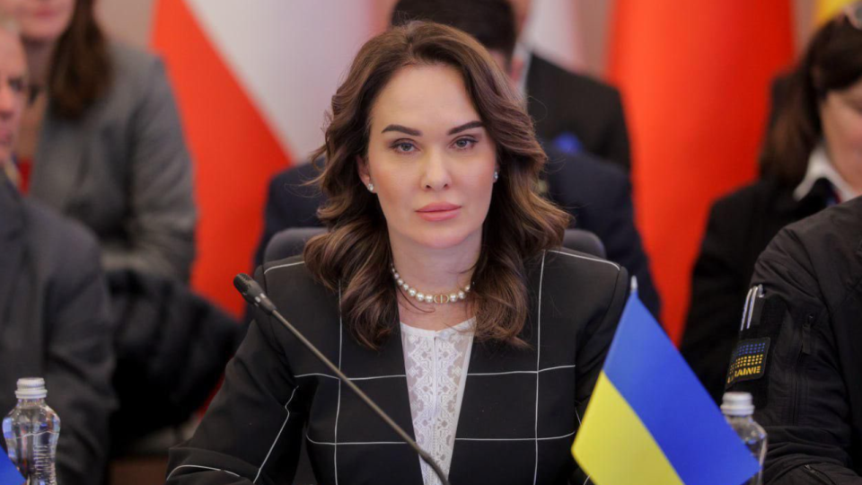 Ирина Мудрая прокомментировала решение ЕСПЧ по делу «Украина и Нидерланды против России»