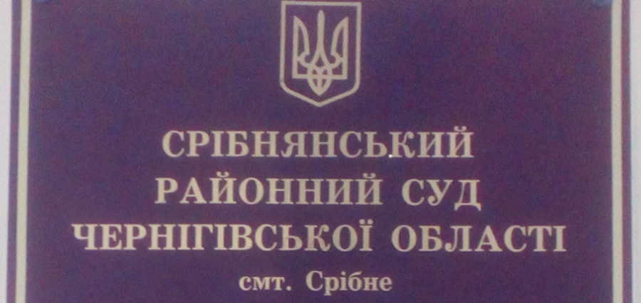 Избран главу Сребнянского районного суда Черниговской области