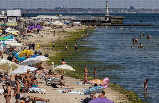 В Одесі після шторму пляжі вкрилися зеленим килимом з водоростей, відео