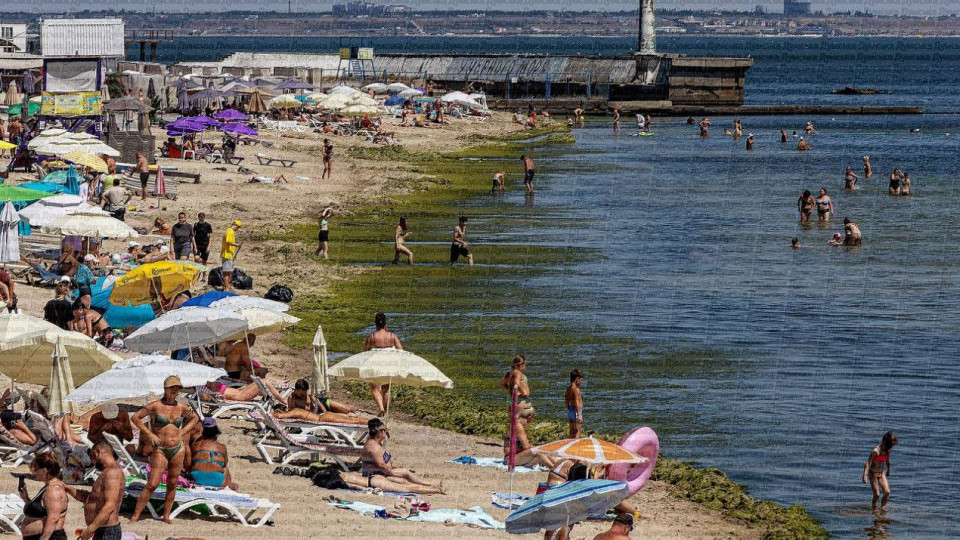 В Одессе после шторма пляжи покрылись зеленым ковром из водорослей, видео
