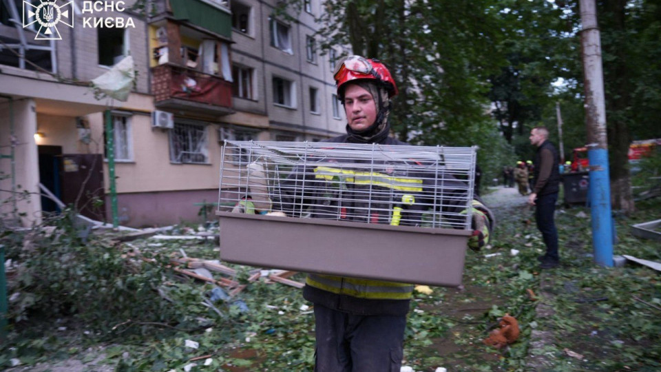 У Києві з-під завалів після обстрілу дістали живих котів, собаку, папуг і кролика – фото