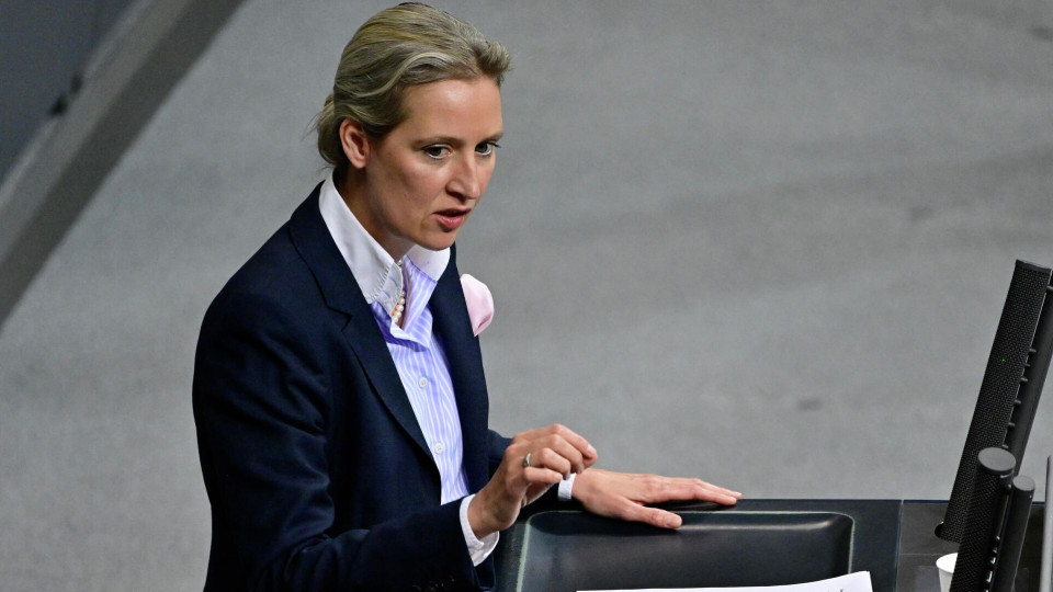 AfD возглавила рейтинг популярности в Германии, обогнав блок Мерца по популярности – Politico