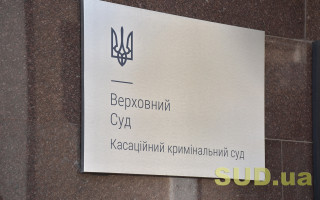 Верховный Суд высказался об учете состояния ограниченной вменяемости при назначении наказания