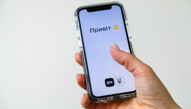 Что делать, если услуга «Пакет школьника» недоступна в Дии – объяснение