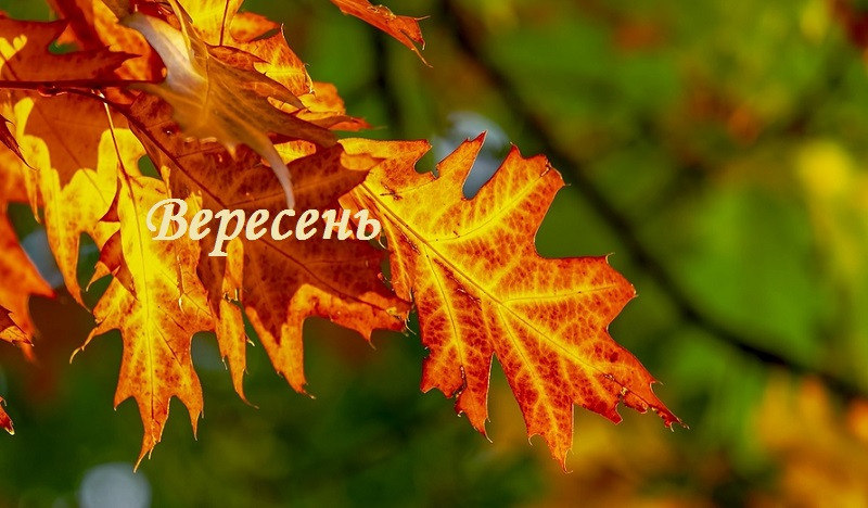 2 сентября – какой сегодня праздник и главные события