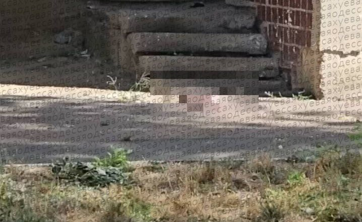 В Одессе женщина выбросила новорожденного ребенка из окна пятого этажа