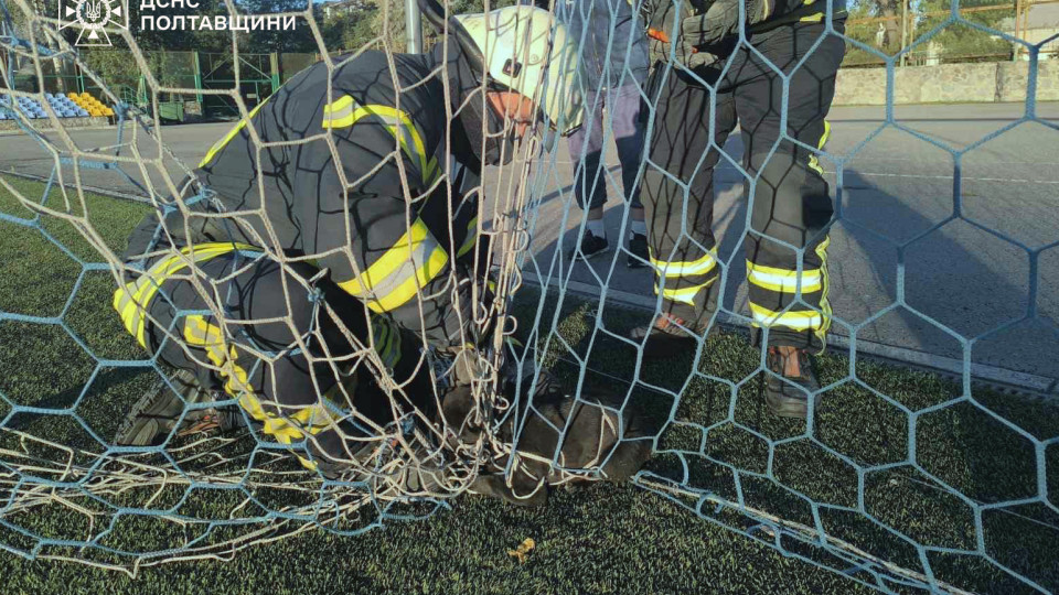 В Полтавской области провели спецоперацию по освобождению щенка из футбольной ловушки
