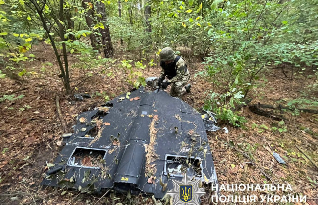 В Киеве нашли сбитый дрон со взрывчаткой в ​​лесополосе Дарницкого района, фото