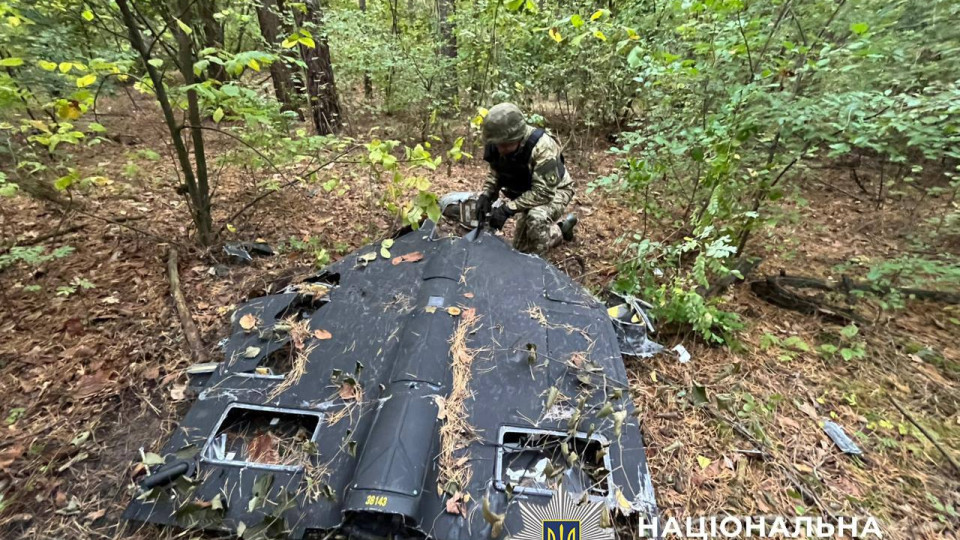 В Киеве нашли сбитый дрон со взрывчаткой в ​​лесополосе Дарницкого района, фото