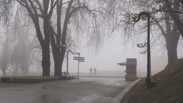 Тиждень в Україні розпочнеться з туману та дощу