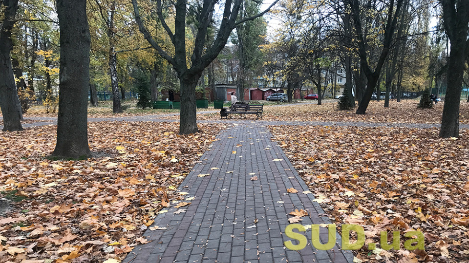 В ноябре в Украине ожидают аномальное тепло — каким областям стоит готовиться