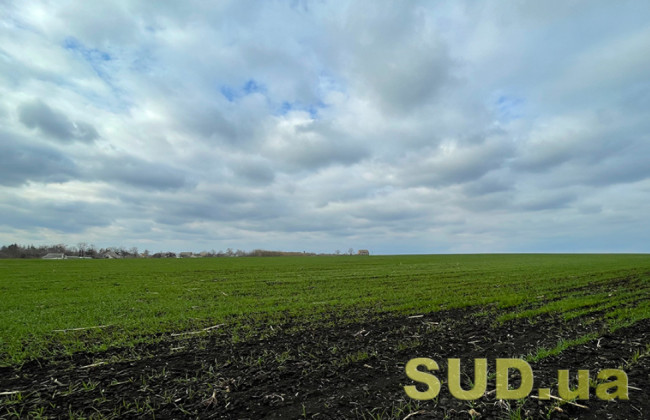 Прекращение права собственности иностранца на земельный участок путем его конфискации влечет за собой прекращение и права аренды этой земли — Верховный Суд