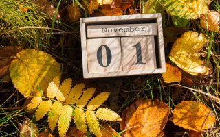 1 ноября – какой сегодня праздник и главные события