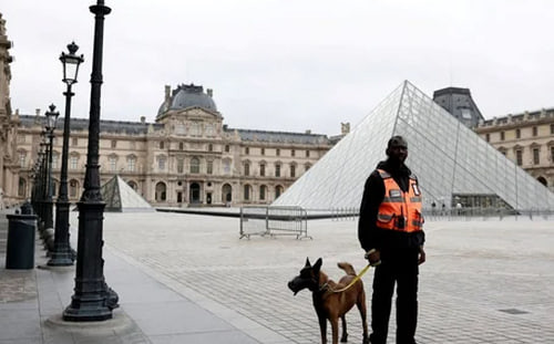 Пограбування Лувру в Парижі вчинили звичайні злочинці, а не мафія — прокуратура