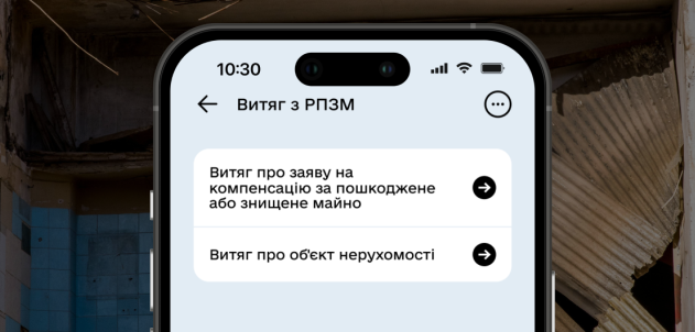 В налоговой службе объяснили, как подтвердить, что объект внесен в реестр поврежденного имущества