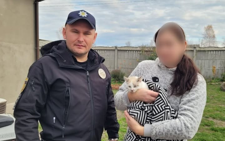 На Львівщині батька дівчинки, яка розмалювала фломастерами кота, притягнули до відповідальності