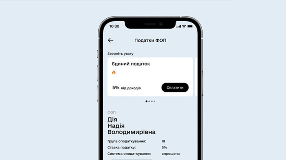 ФОПи мають подати декларацію за дев’ять місяців до 10 листопада — як це зробити в Дії