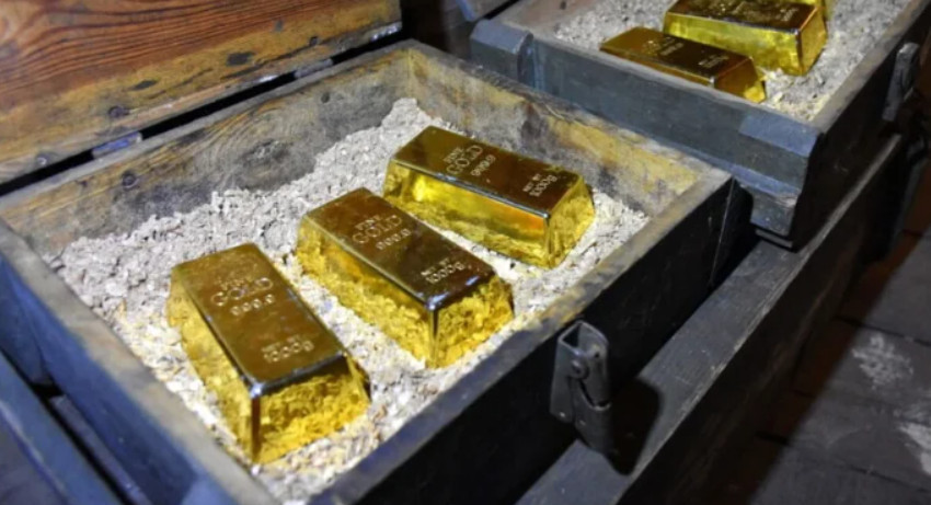 Француз під час копання басейну знайшов золотий скарб вартістю 700 тисяч євро