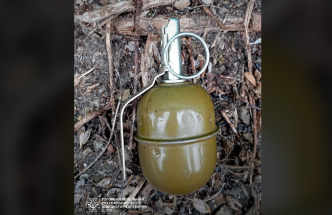 В Киевской области в одном из гаражных кооперативов нашли боевую гранату, фото