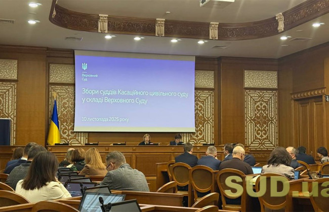 Касаційний цивільний суд у складі Верховного Суду обирає нового голову — текстова трансляція