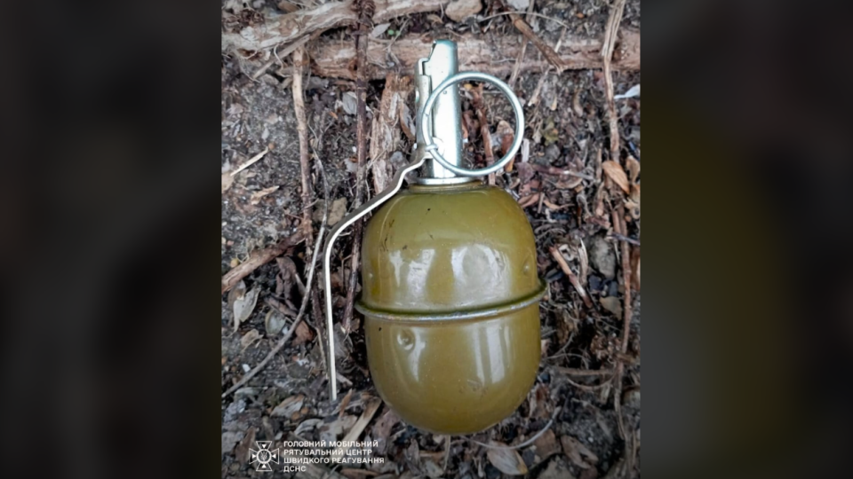 В Киевской области в одном из гаражных кооперативов нашли боевую гранату, фото