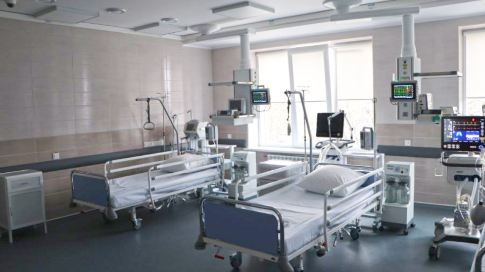 Во Львовской области от бешенства умерла женщина — ее укусил котенок, которого она подобрала на улице