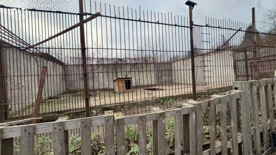 В Хмельницком из реабилитационного центра сбежали две львицы